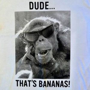 🤗 Children’s Place White Short Sleeve Shirt 🤗